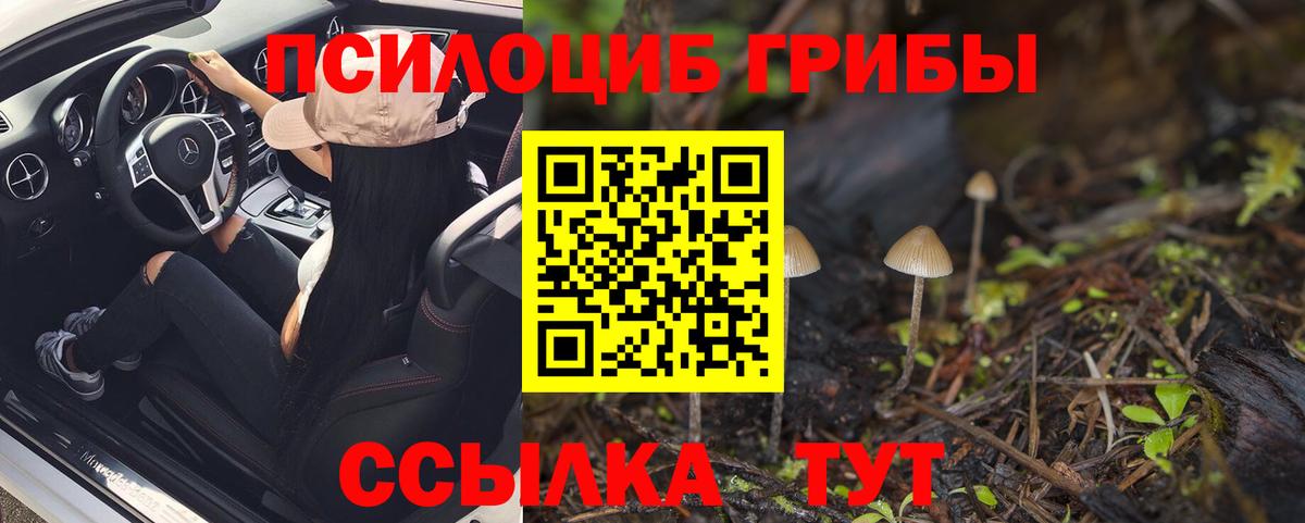 Псилоцибиновые грибы MAGIC MUSHROOMS  где можно купить наркотик  Усть-Кут  Вход с VPN 